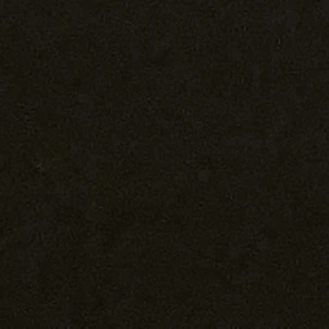 김병준