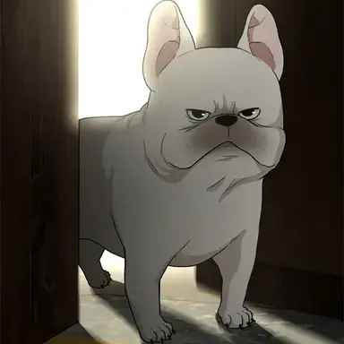 Profile image of Jin
