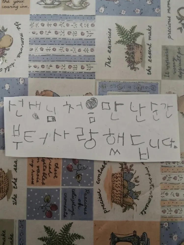 lit_allnvm의 ︎ ︎ ︎ ︎