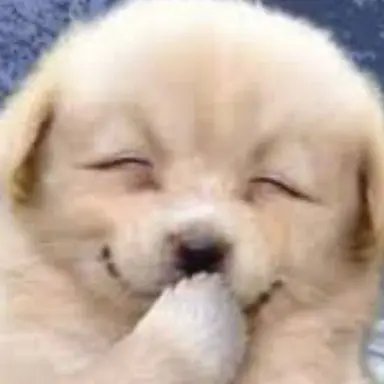 Profile image of 구브넥스