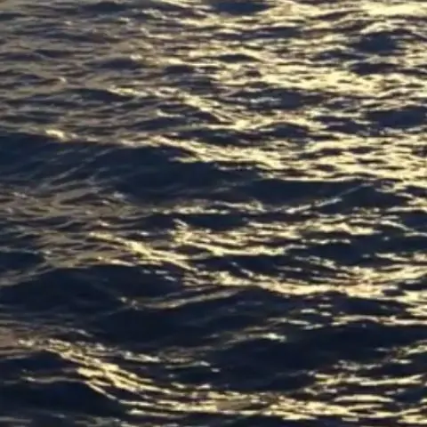 Cxoi.m의 너가 뭔데 자꾸 끼어들어.