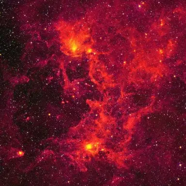 Profile image of 서라더