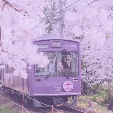 Profile image of 통깡