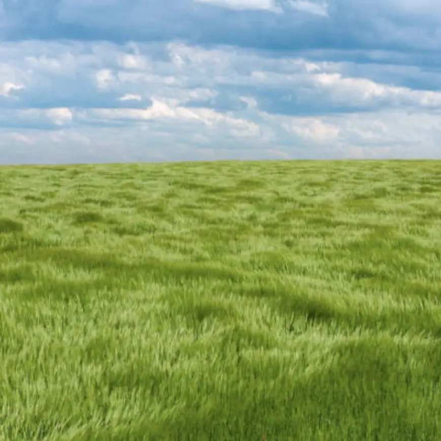 Kill_you-_-의 見捨てられたサバイバー達と長い旅