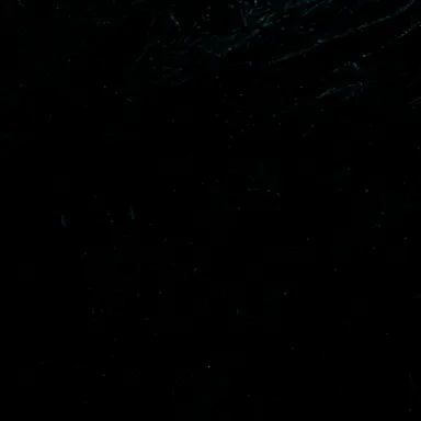 Profile image of 장근원