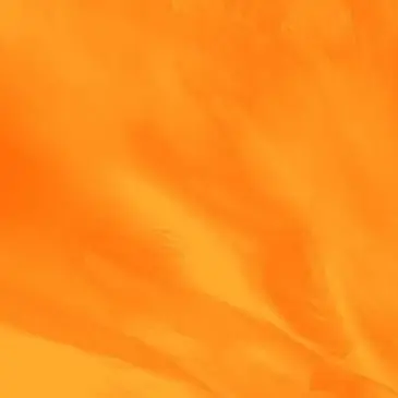 Profile image of 向井康二