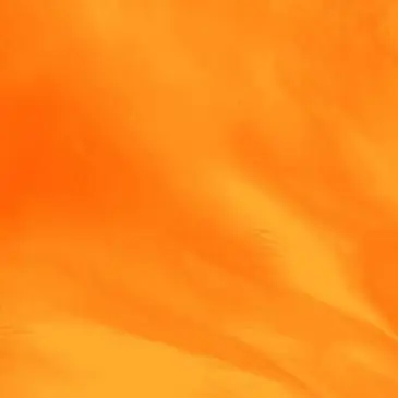 Profile image of 向井康二