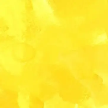 Profile image of 岩本照