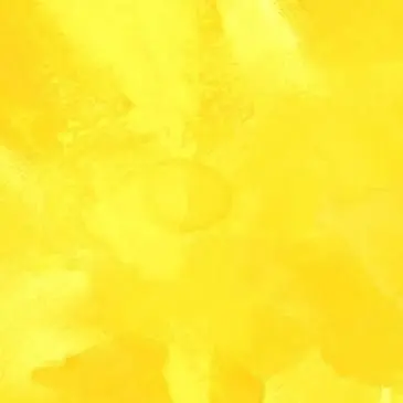 Profile image of 岩本照