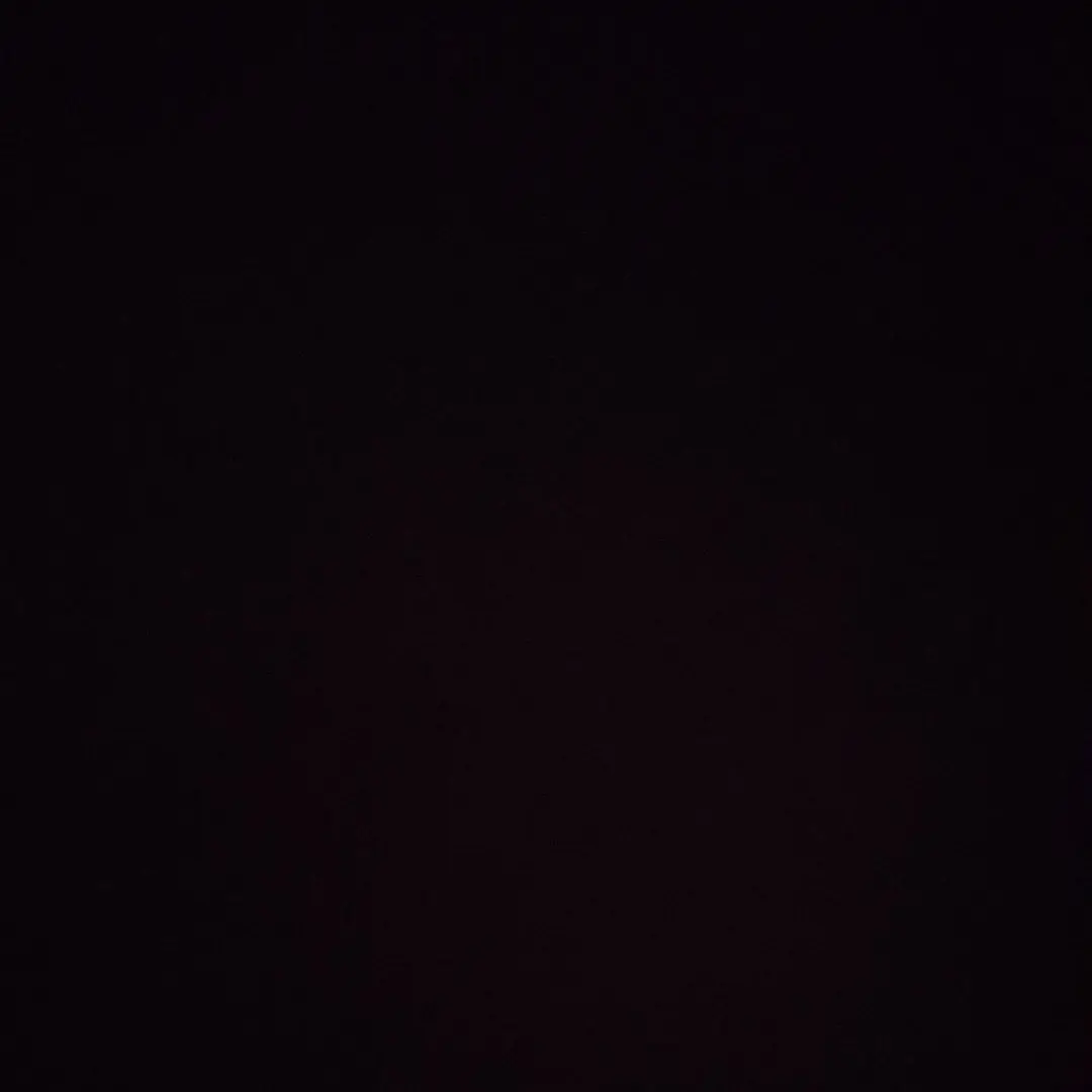 stay8.1.의 한지성