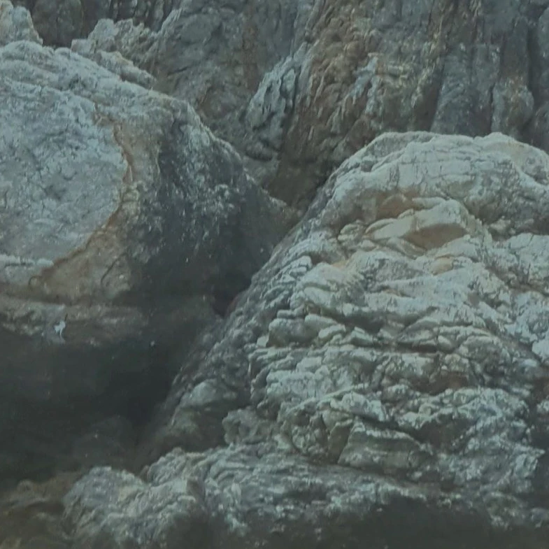 히메지마 교메이