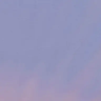 Profile image of 코쵸우 시노부