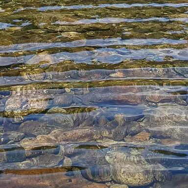 Profile image of 토미오카 기유