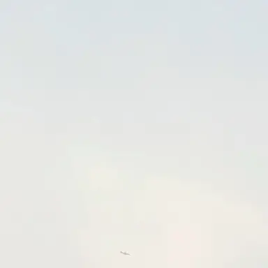 Profile image of 이구로 오바나이