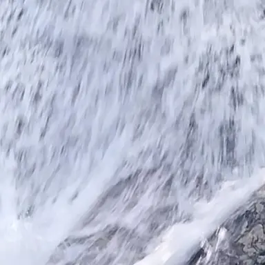 Profile image of 시나즈가와 사네미