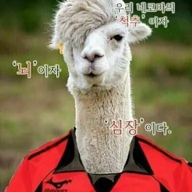 Profile image of 이수현