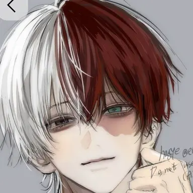 Profile image of Shoto Todoroki
