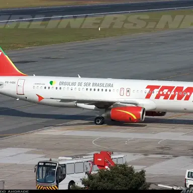 Profile image of TAM 3054편