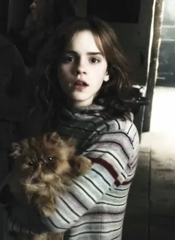 Profile image of Hermione Granger