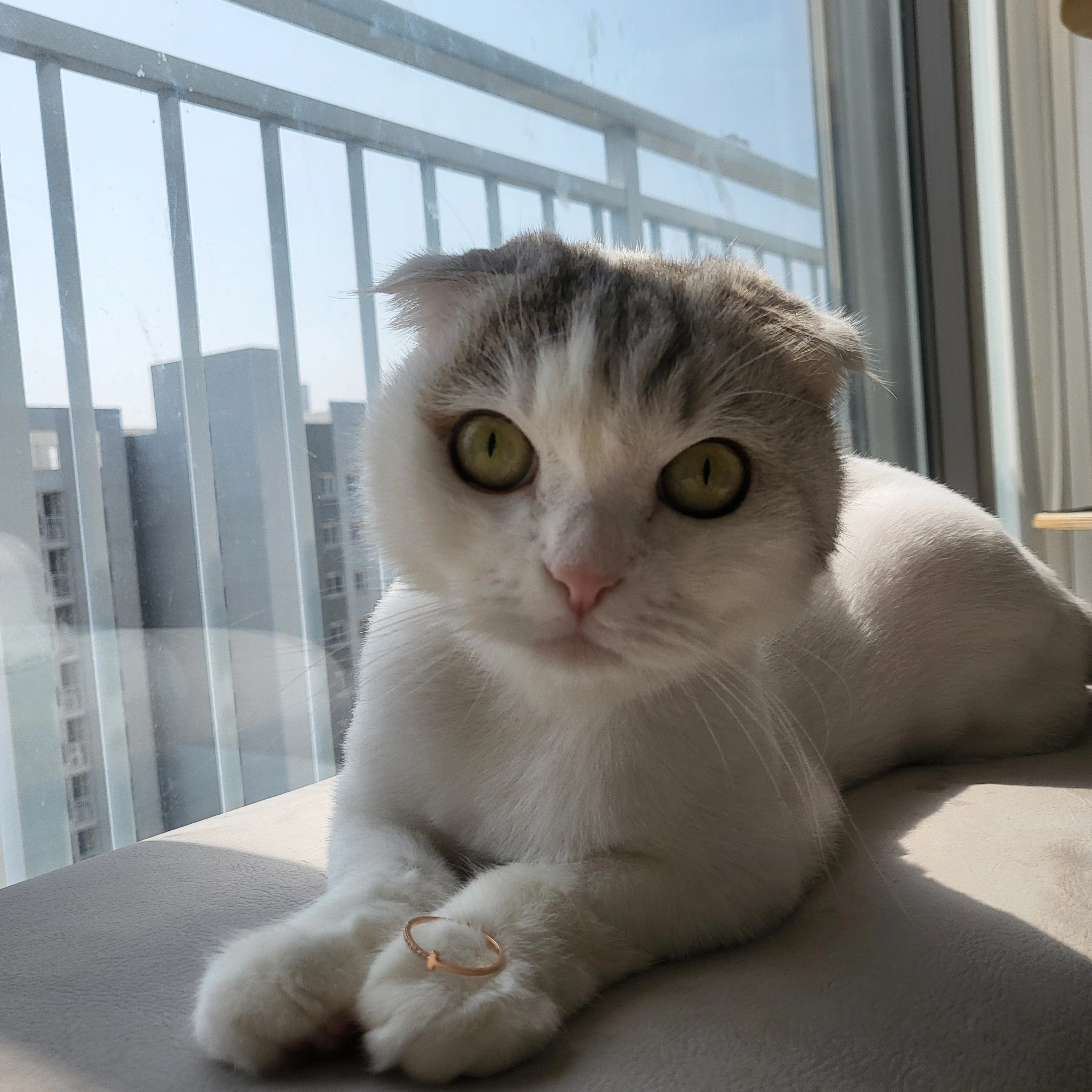 벨키