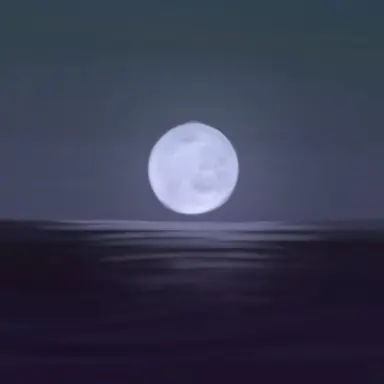 Profile image of 정공룡