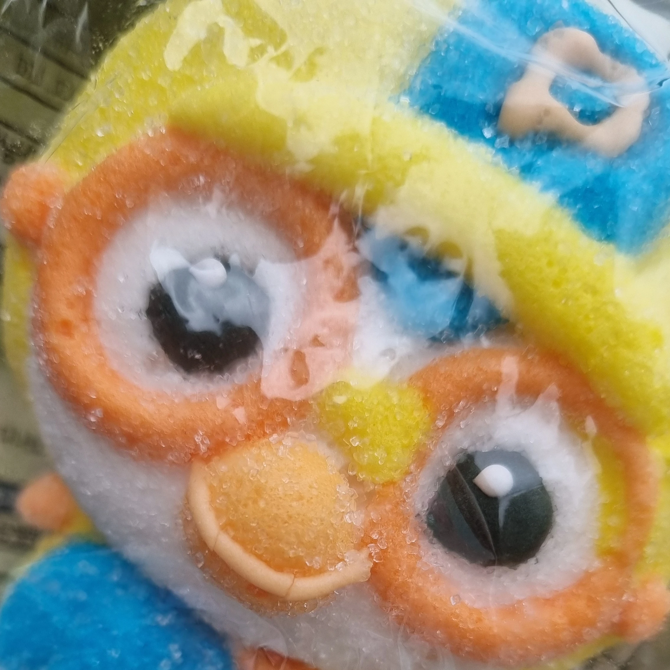 솔빛중학교