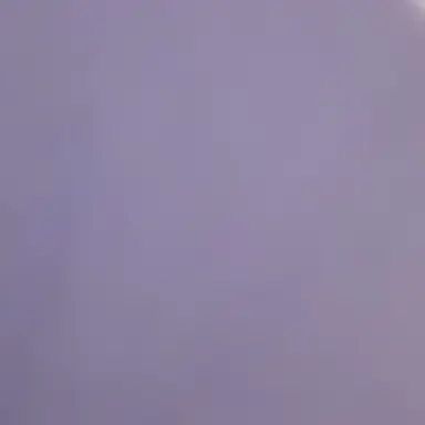 Profile image of 리온