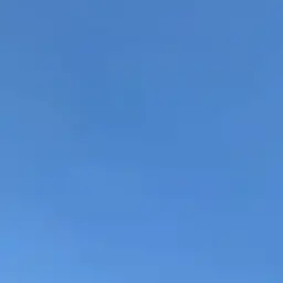 Profile image of 이만성
