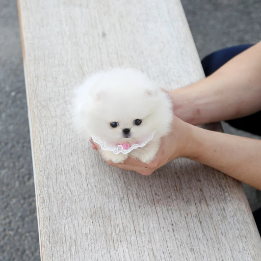 호두