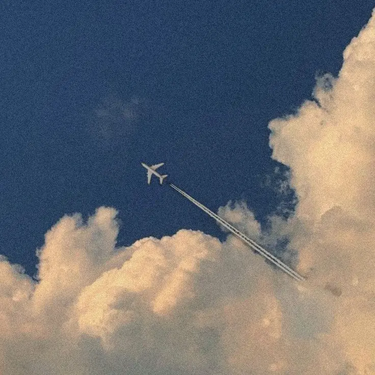 VerdantMoon의 [초세여] 하고싶은거 하는날.