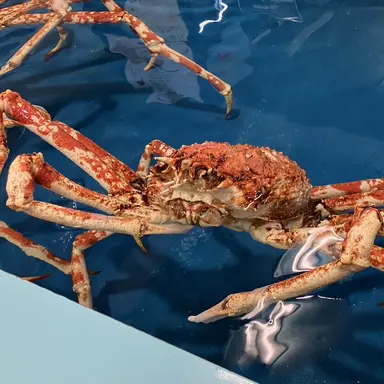 Profile image of 山田