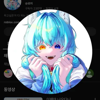 Profile image of 료미