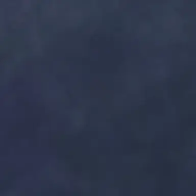 Profile image of 박하늘