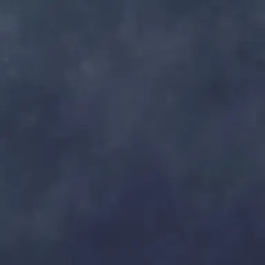 Profile image of 김미진