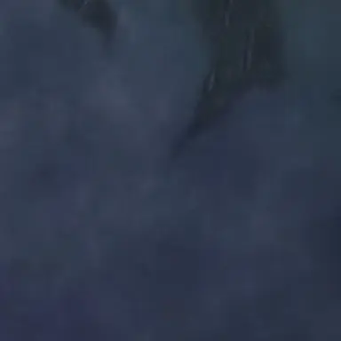 Profile image of 바스코