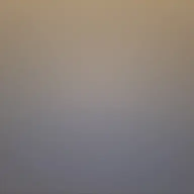 Profile image of 선생님