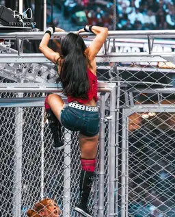 Profile image of AJ Lee