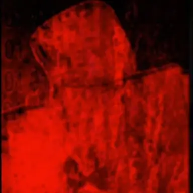 Profile image of 쿨키드