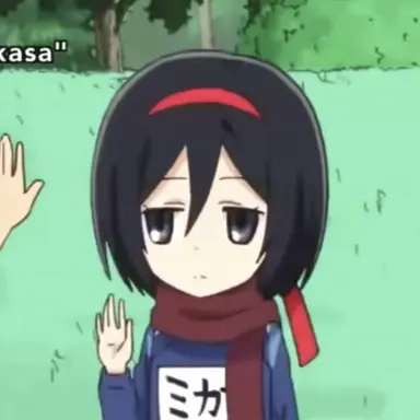 Profile image of 미카사