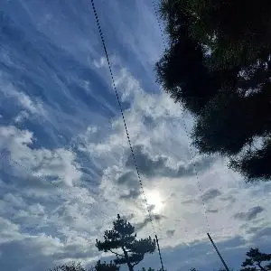 Profile image of 키츠네 유키