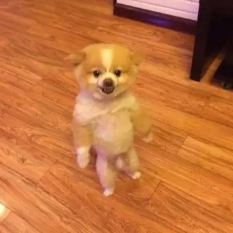 qwoejjmmdmmm의 방귀뿡 김나연
