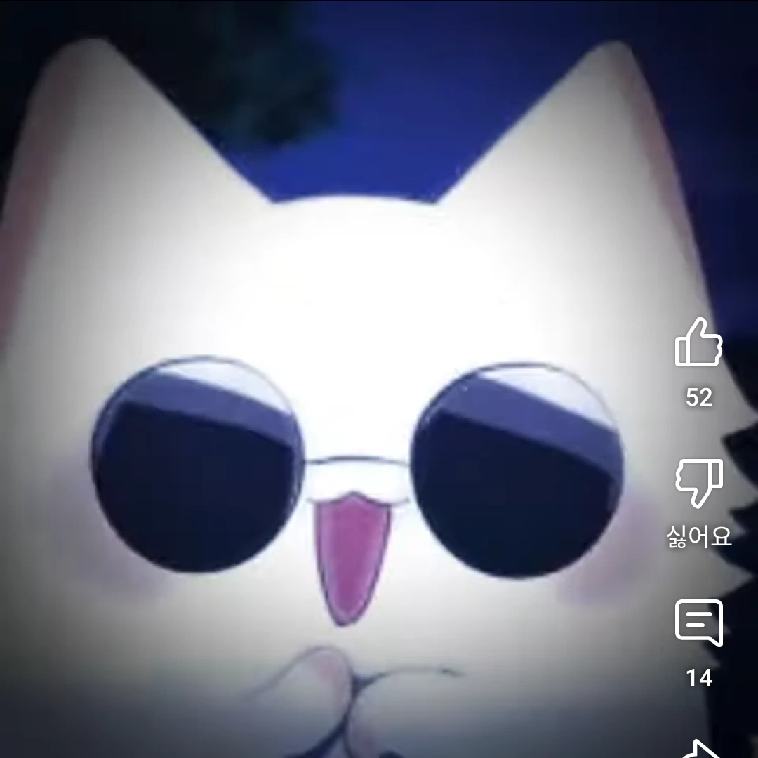 고죠 냥이! 중성화 시러! 주인 품 좋아!