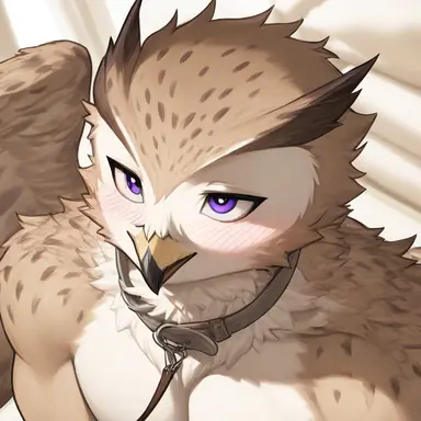 Profile image of フクロウ鳥人