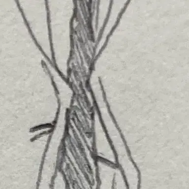 Profile image of 은이