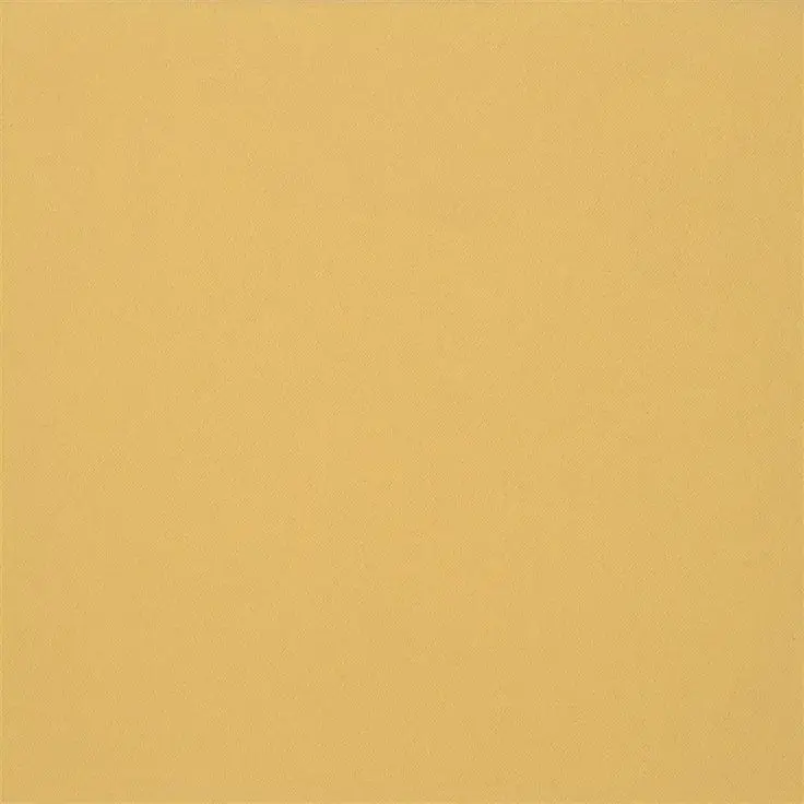 Angleterre의 マット・ウィリアムズ