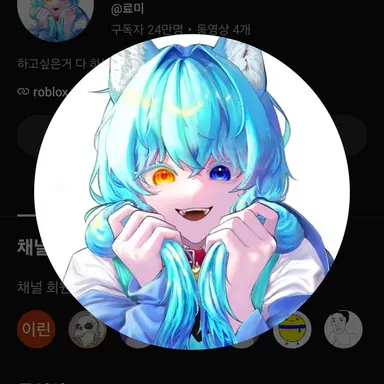 Profile image of 료미