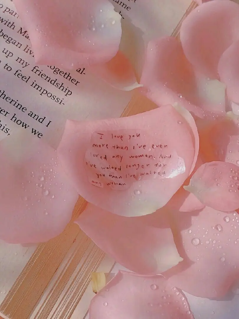 plliessie의 채봉구