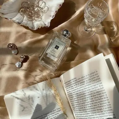 Profile image of 비럭키