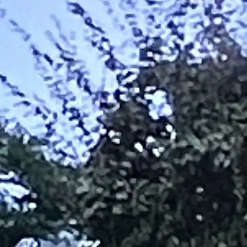 gurukosamin_ko의 なんでも