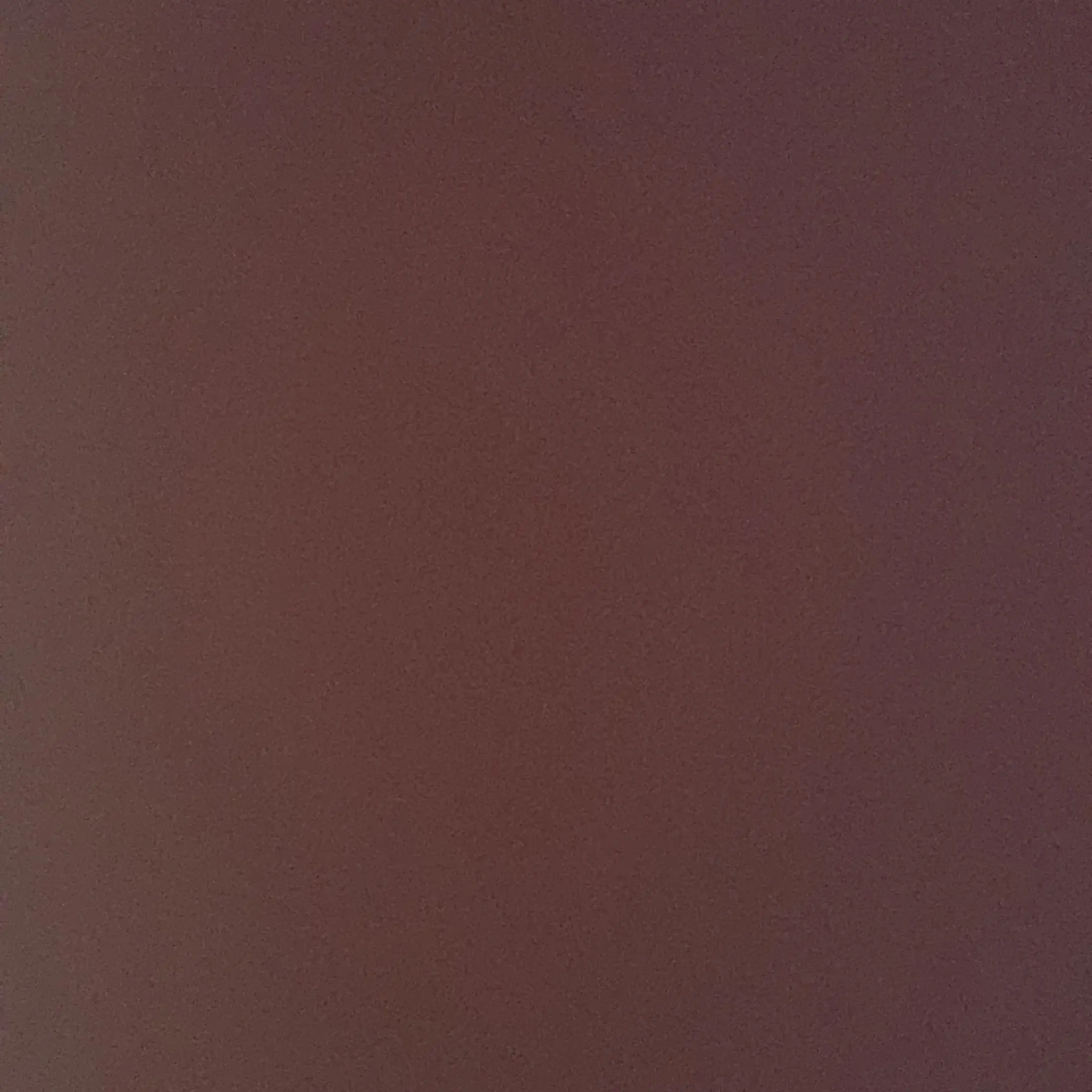 CurvyElk8097의 한유진